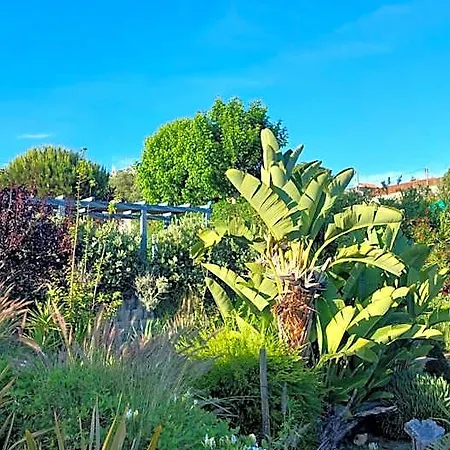 Tranquil Retreat In With Private Entrance And Stunning Views Hotel *