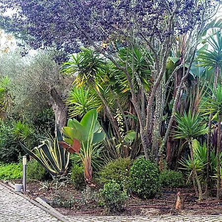 Tranquil Retreat In With Private Entrance And Stunning Views Hotel *