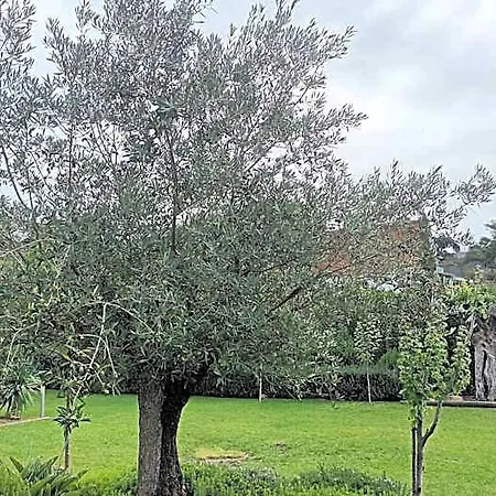 Hotel Tranquil Retreat In With Private Entrance And Stunning Views *
